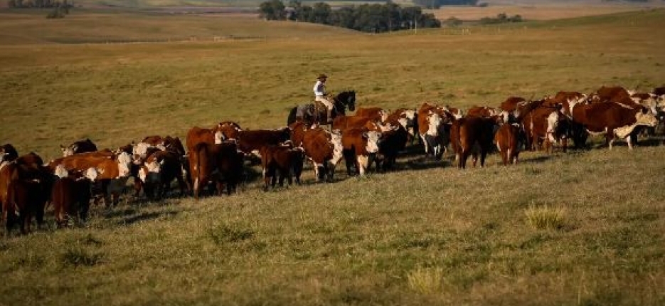 Uni�o Europeia restringe importa��o de carnes, peixe e mel do Brasil
